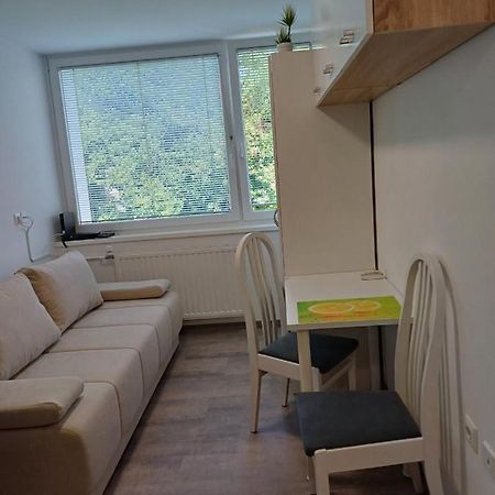 Apartma Nadja Марібор Екстер'єр фото